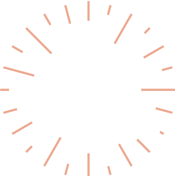 CD4A Wheel icon orange, transparent background